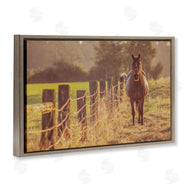Norm Stelfox | Horse's Farm at Dawn