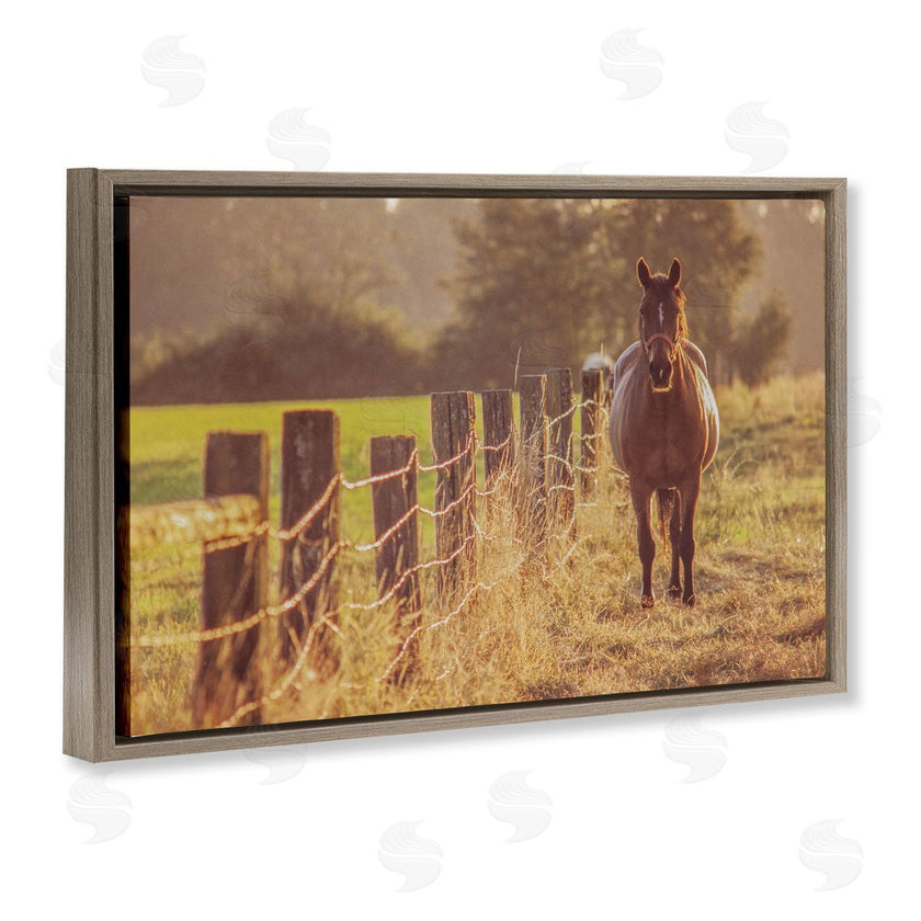 Norm Stelfox | Horse's Farm at Dawn