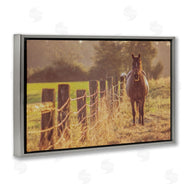 Norm Stelfox | Horse's Farm at Dawn