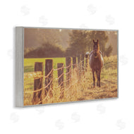 Norm Stelfox | Horse's Farm at Dawn