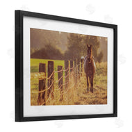 Norm Stelfox | Horse's Farm at Dawn