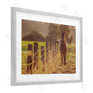 Norm Stelfox | Horse's Farm at Dawn