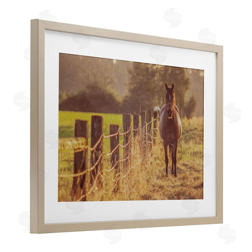 Norm Stelfox | Horse's Farm at Dawn