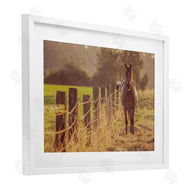 Norm Stelfox | Horse's Farm at Dawn
