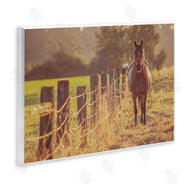 Norm Stelfox | Horse's Farm at Dawn