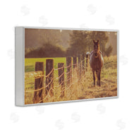 Norm Stelfox | Horse's Farm at Dawn