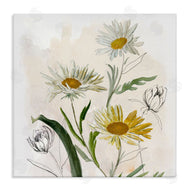Jacob Q | Pure Simplicity Daisies