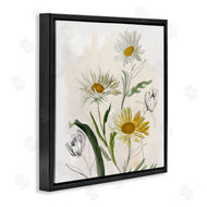 Jacob Q | Pure Simplicity Daisies