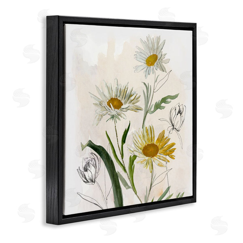 Jacob Q | Pure Simplicity Daisies