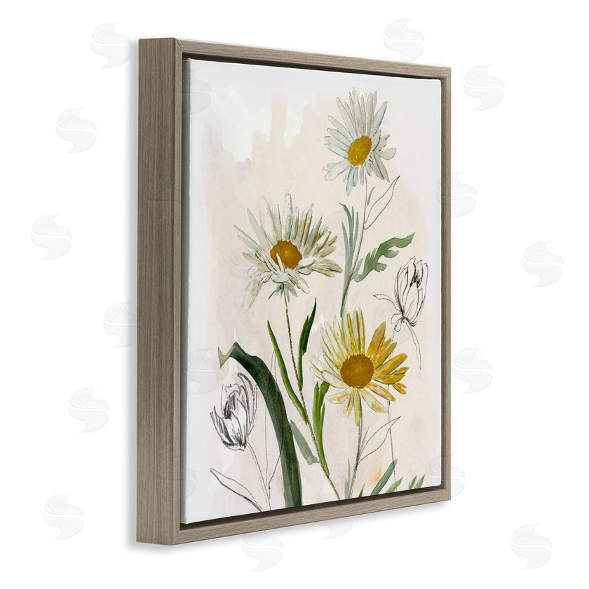 Jacob Q | Pure Simplicity Daisies