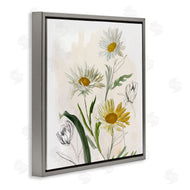 Jacob Q | Pure Simplicity Daisies