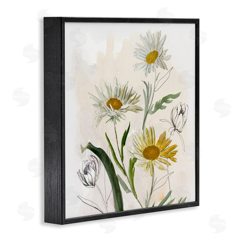 Jacob Q | Pure Simplicity Daisies