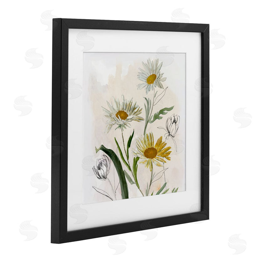 Jacob Q | Pure Simplicity Daisies