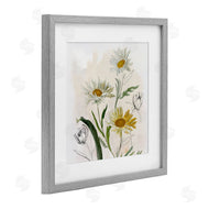 Jacob Q | Pure Simplicity Daisies