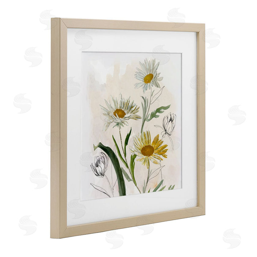 Jacob Q | Pure Simplicity Daisies