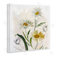 Jacob Q | Pure Simplicity Daisies