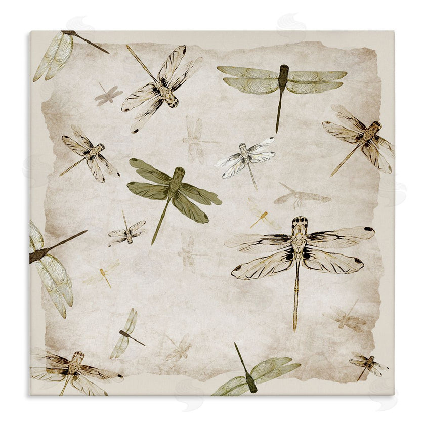 Jacob Q | Vintage Grace Dragonflies