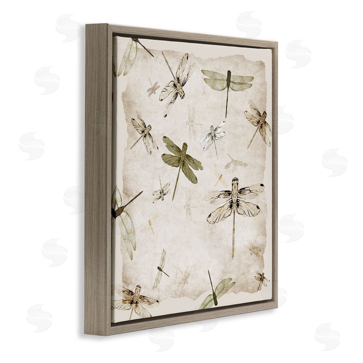 Jacob Q Vintage Grace Dragonflies Canvas Wall Art Print