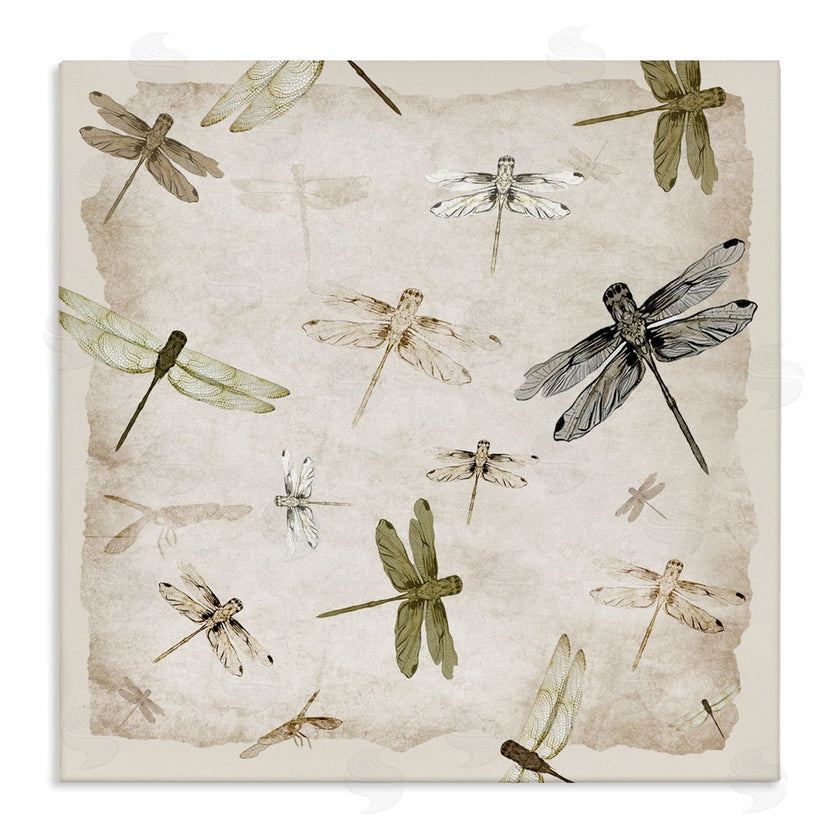 Jacob Q | Glide In Grace Dragonflies