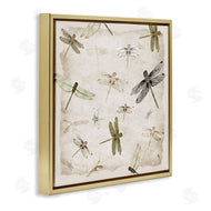 Jacob Q | Glide In Grace Dragonflies