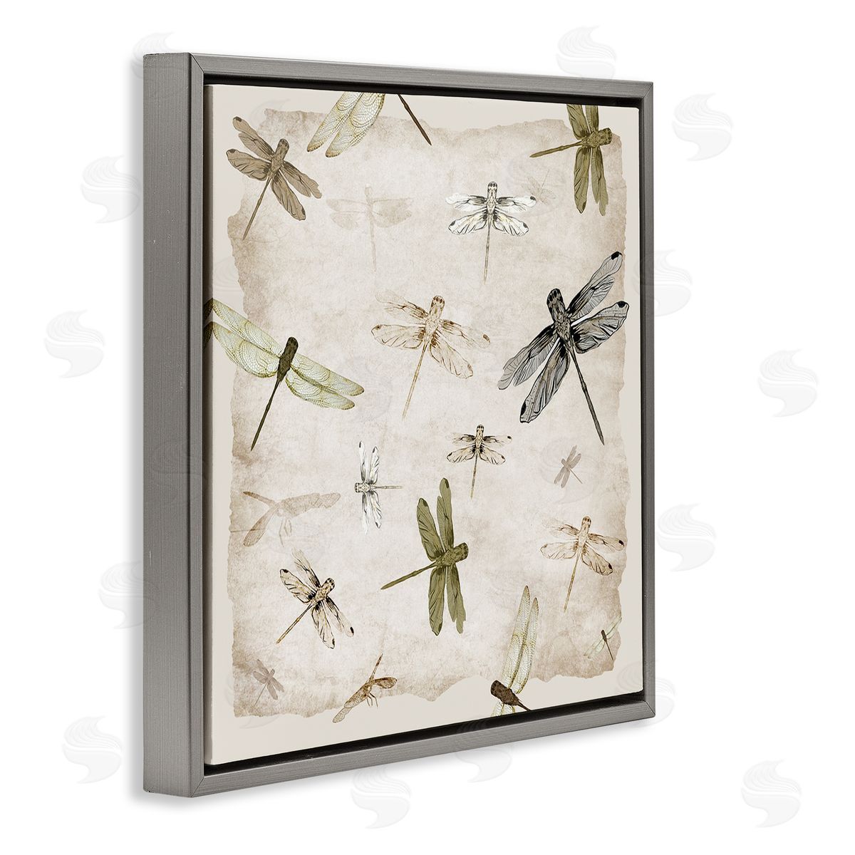 Jacob Q Glide In Grace Dragonflies Canvas Wall Art Print