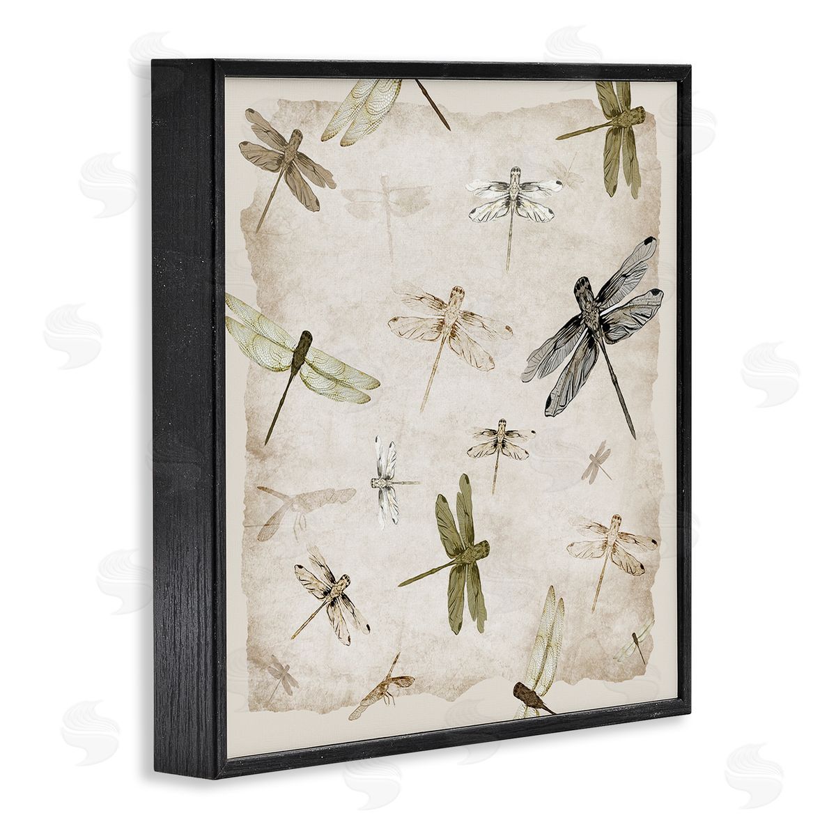 Jacob Q Glide In Grace Dragonflies Canvas Wall Art Print