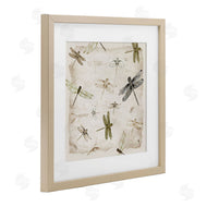 Jacob Q | Glide In Grace Dragonflies
