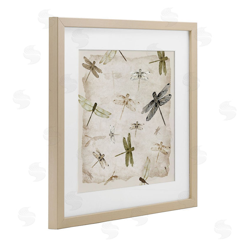 Jacob Q | Glide In Grace Dragonflies