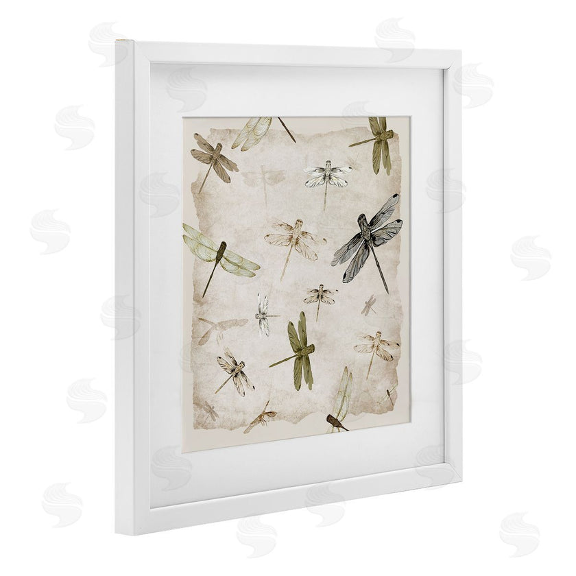 Jacob Q | Glide In Grace Dragonflies