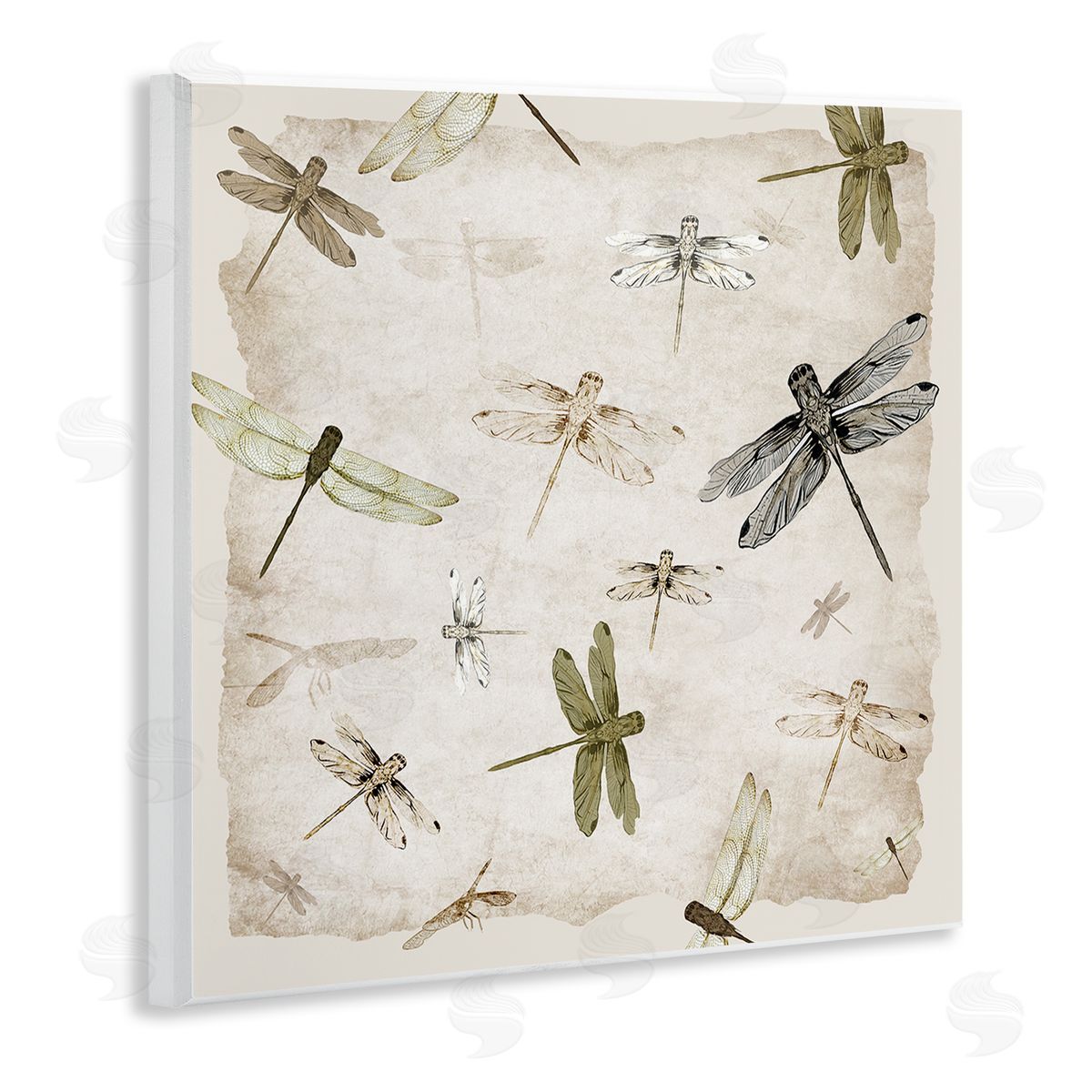 Jacob Q Glide In Grace Dragonflies Canvas Wall Art Print