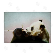 Roberta Murray | Wild Panda & Bamboo