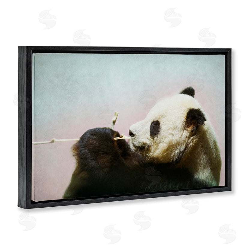 Roberta Murray | Wild Panda & Bamboo