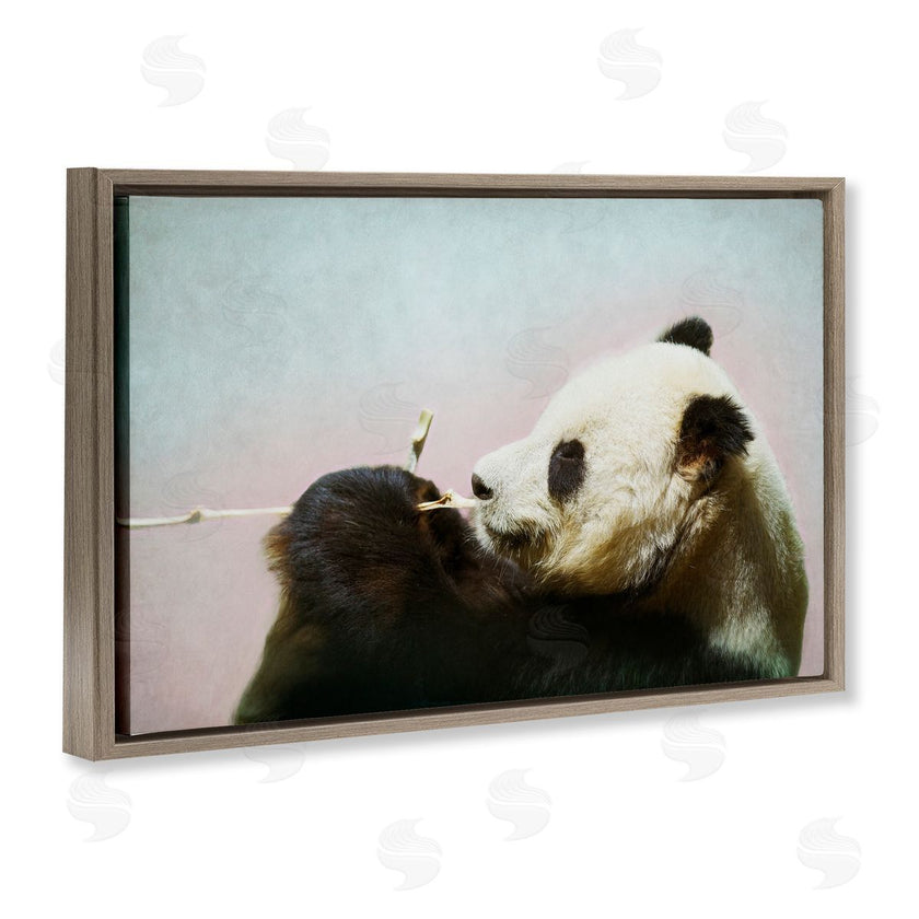 Roberta Murray | Wild Panda & Bamboo