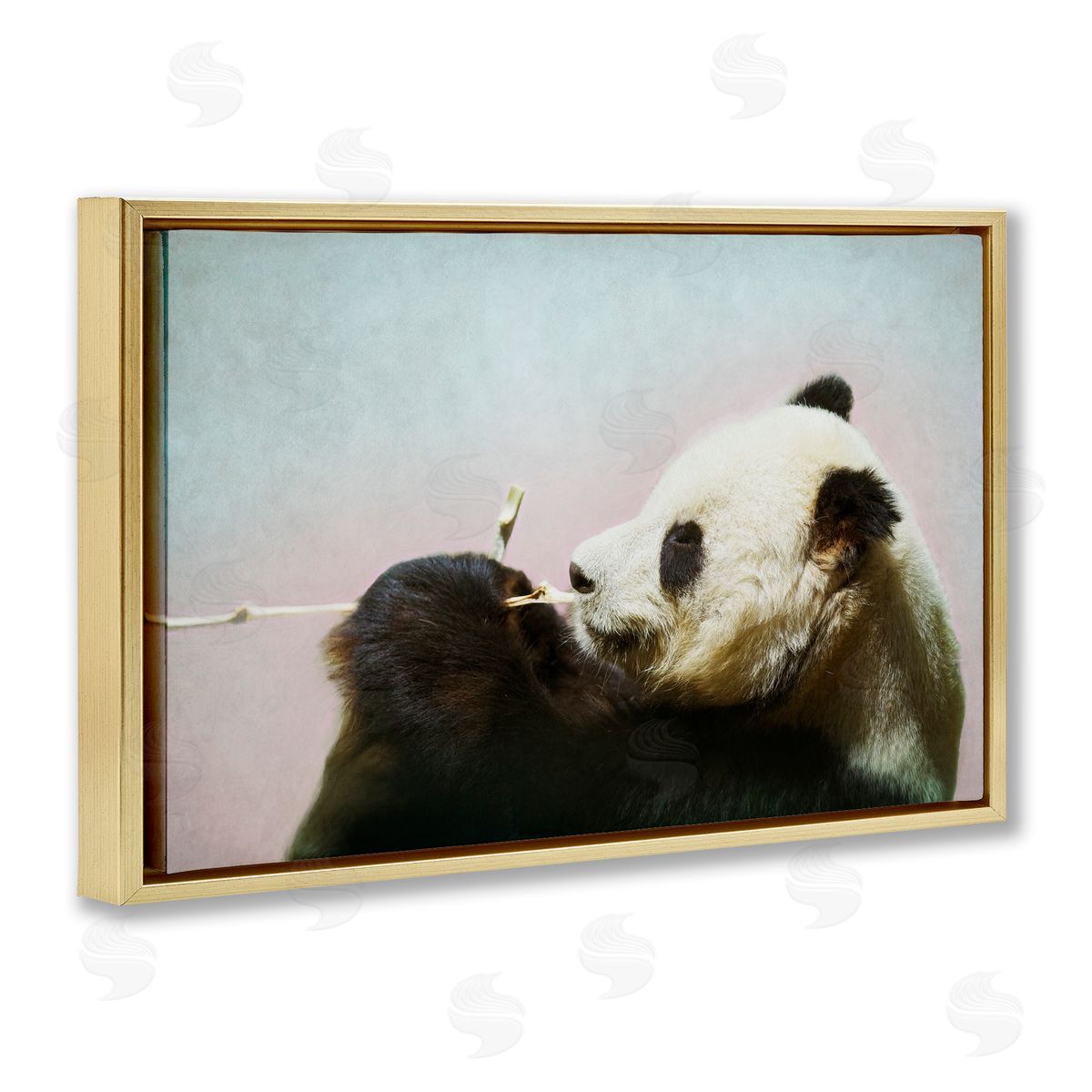 Roberta Murray Wild Panda & Bamboo Canvas Wall Art Print