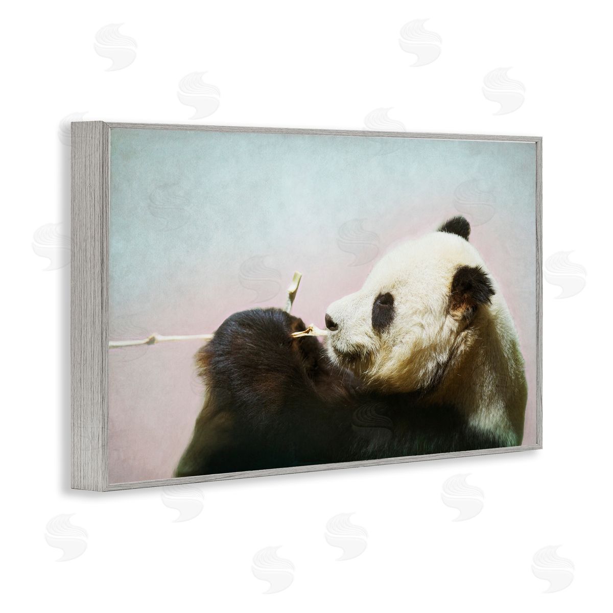 Roberta Murray Wild Panda & Bamboo Canvas Wall Art Print