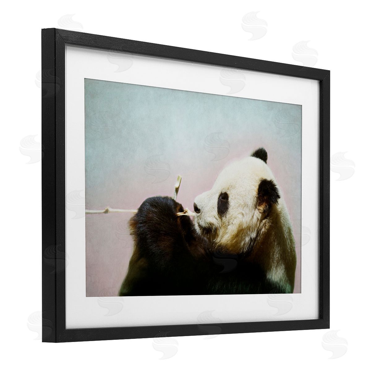 Roberta Murray Wild Panda & Bamboo Canvas Wall Art Print