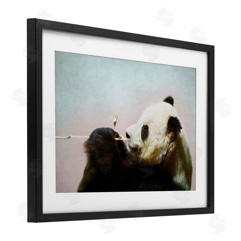 Roberta Murray | Wild Panda & Bamboo