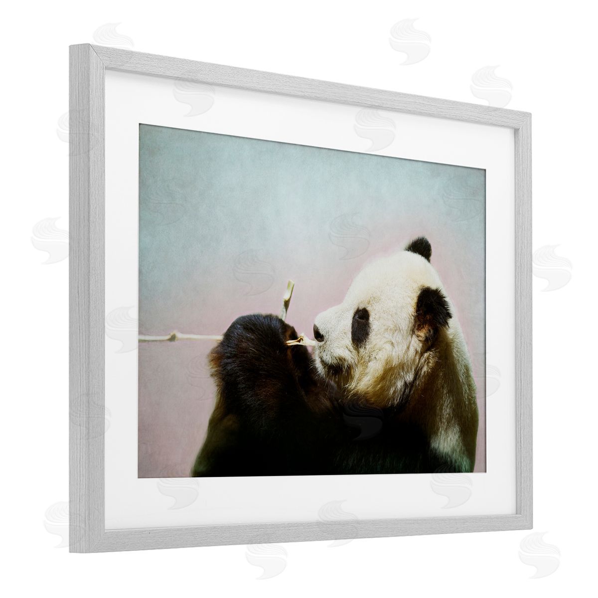 Roberta Murray Wild Panda & Bamboo Canvas Wall Art Print