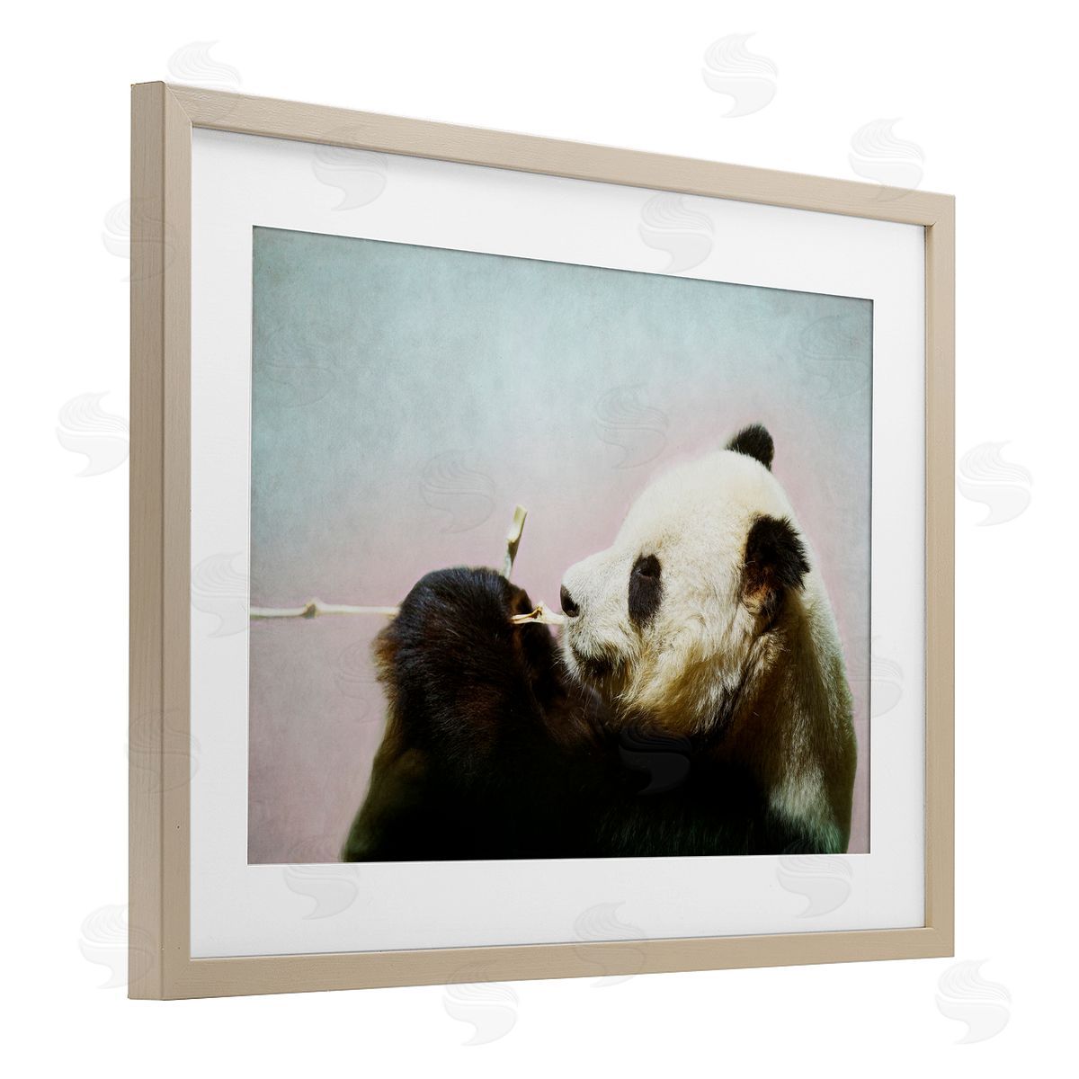 Roberta Murray Wild Panda & Bamboo Canvas Wall Art Print