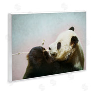 Roberta Murray | Wild Panda & Bamboo