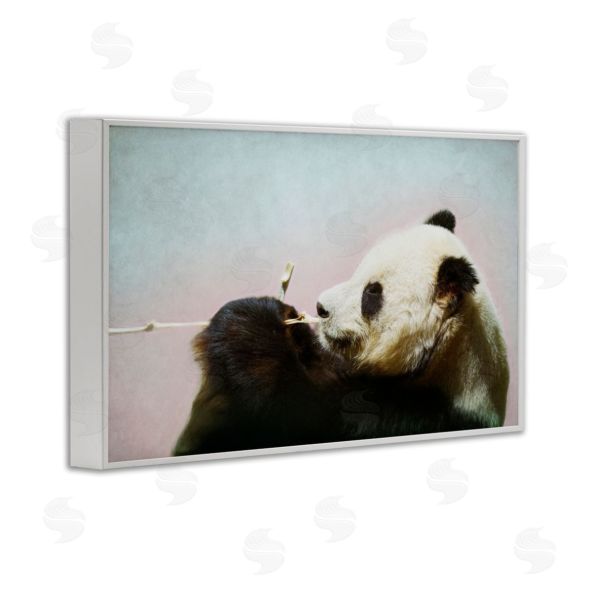 Roberta Murray Wild Panda & Bamboo Canvas Wall Art Print