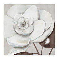 Hannah Dawson | Elegant White Blooms