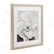 Hannah Dawson | Elegant Magnolia Bloom