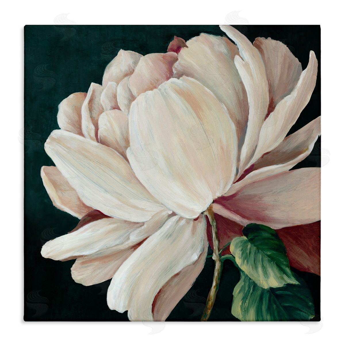 Alex Black Heart Of The Bloom Canvas Wall Art Print