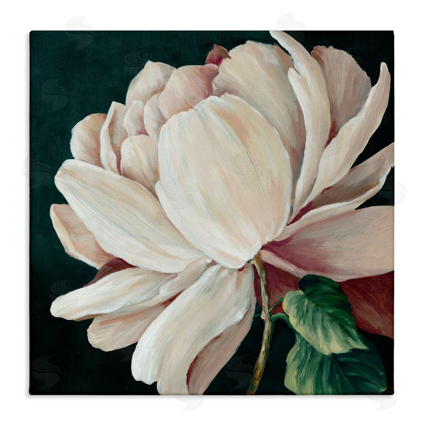 Alex Black | Heart Of The Bloom