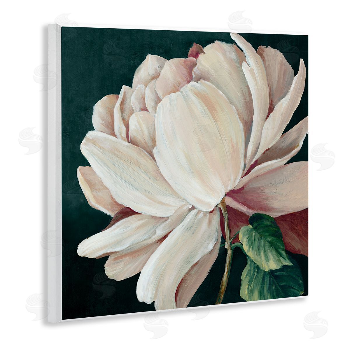Alex Black Heart Of The Bloom Canvas Wall Art Print