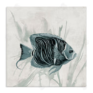 Jacob Q | Something Fishy Aquatic