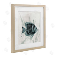Jacob Q | Something Fishy Aquatic