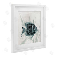 Jacob Q | Something Fishy Aquatic
