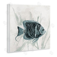 Jacob Q | Something Fishy Aquatic